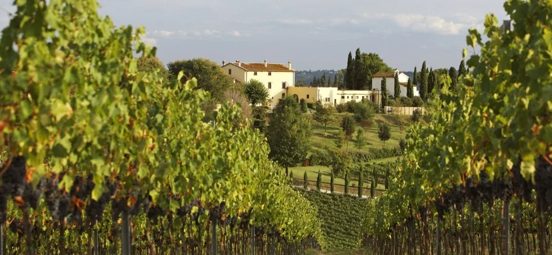 Tracciati i tre sentieri di Leonardo a Villa da Vinci
