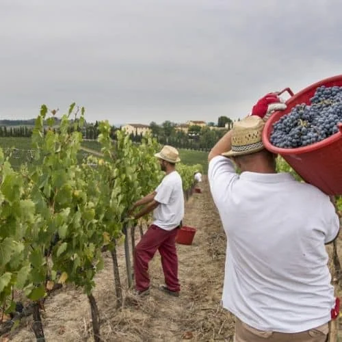 Casale di Valle in Vinci