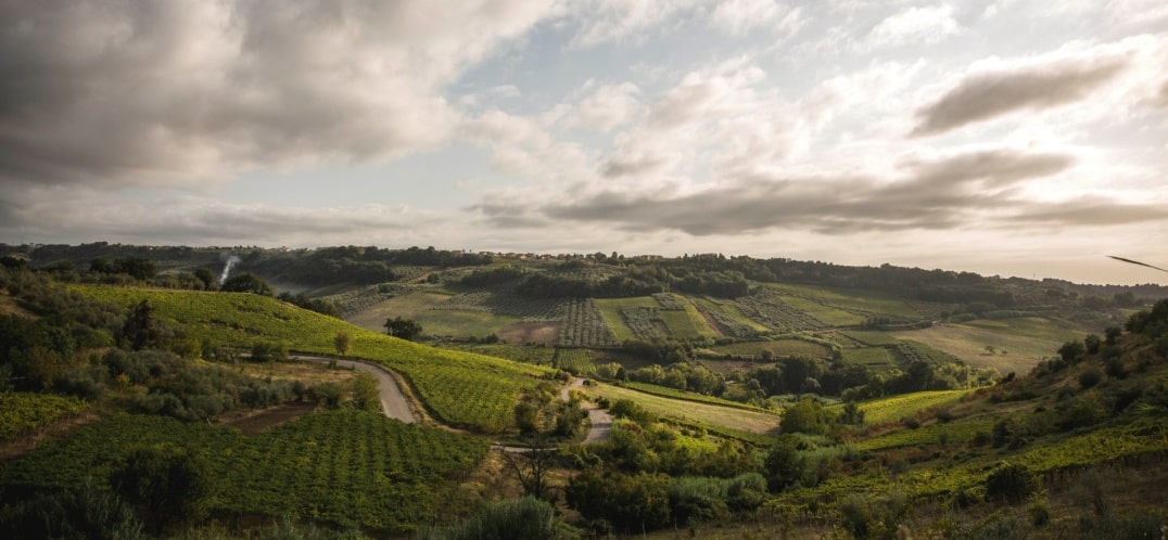 Chianti: wine and climate change