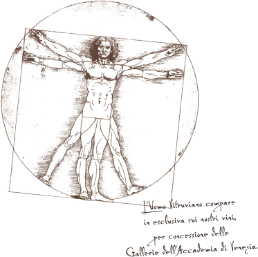 L'Uomo Vitruviano di Leonardo da Vinci