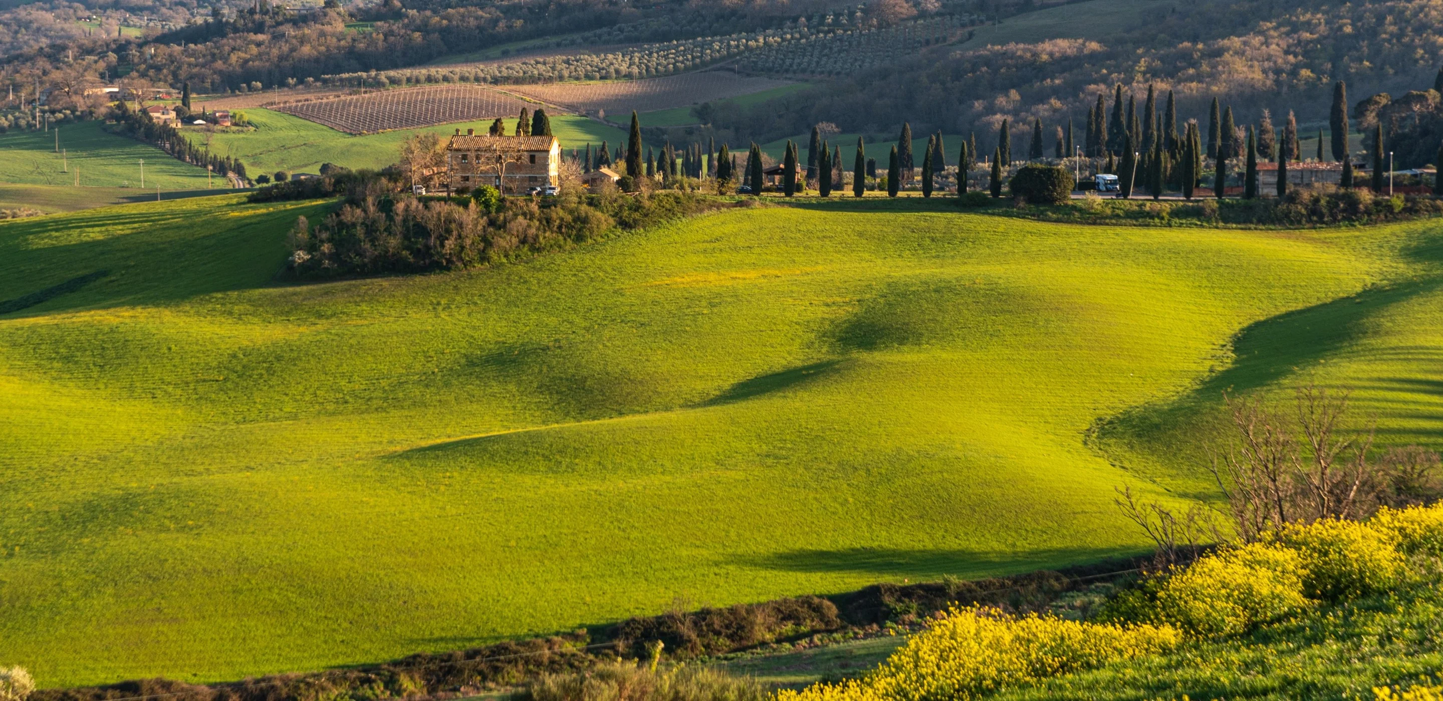 Colline toscane con filari di vigne, cipressi e un casale al tramonto